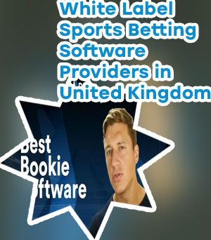 Cheapest online bookie software